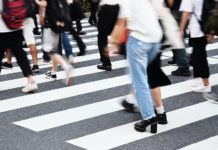 nowe prawo dla pieszych