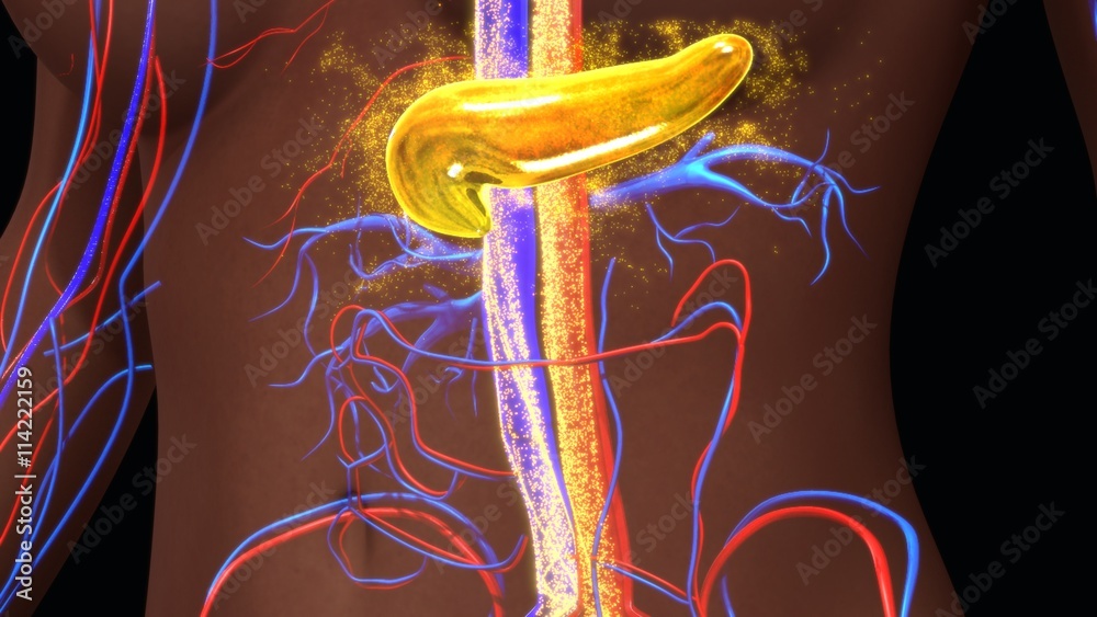 Insulinooporność – czyli co