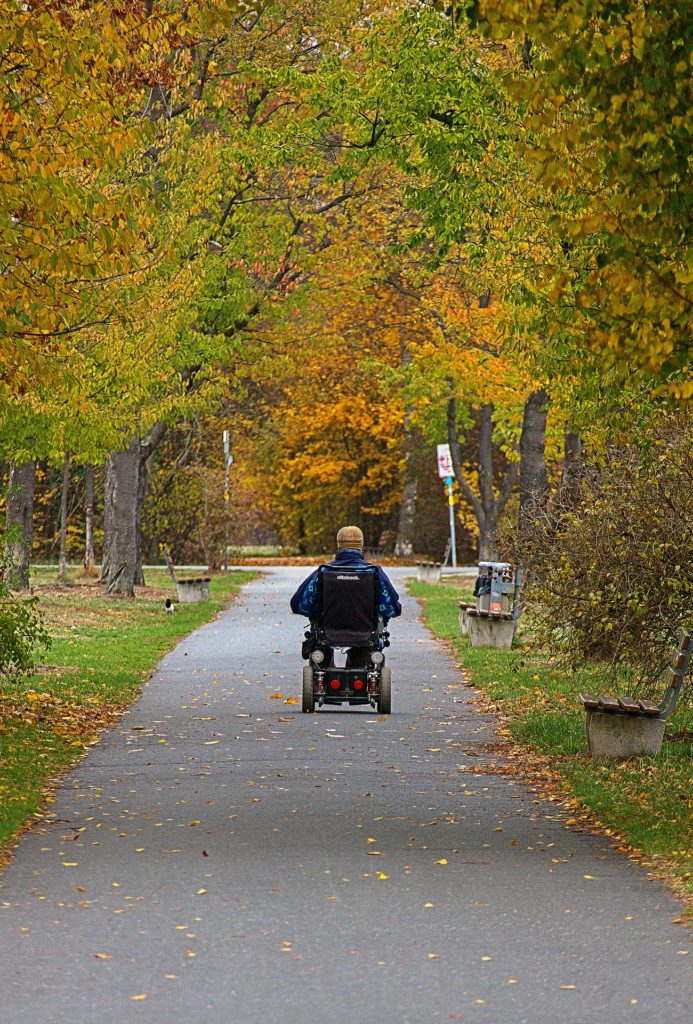 Na zdjęciu osoba na wózku inwalidzkim w parku.