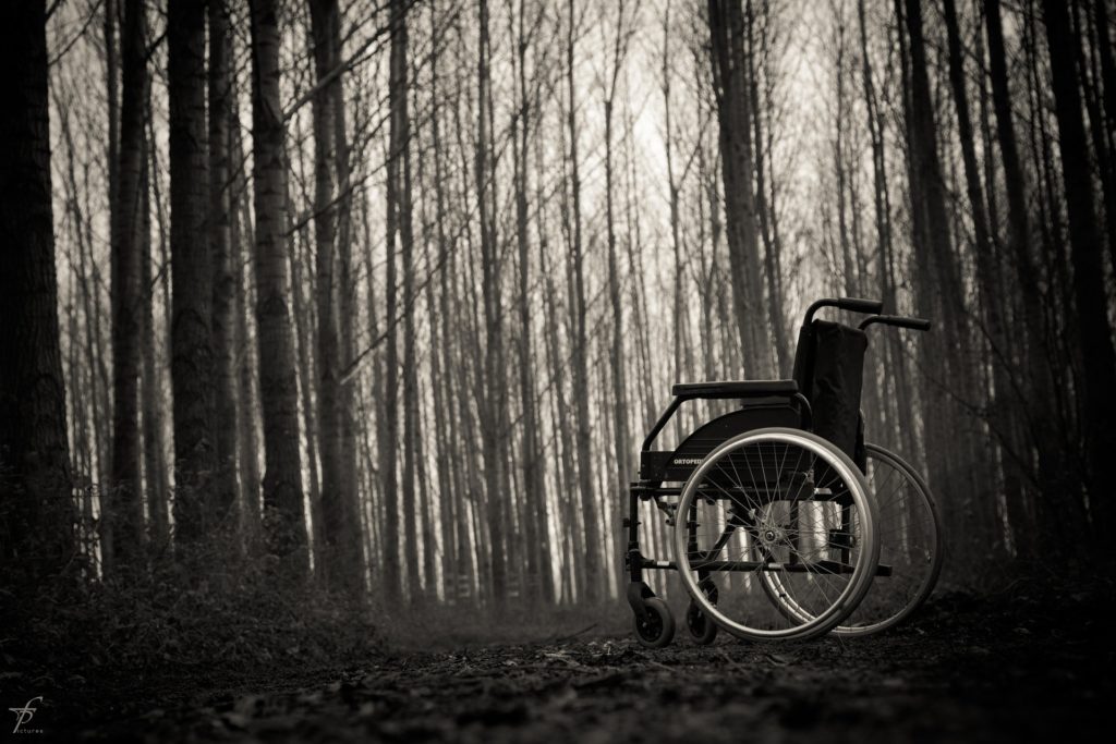 Na zdjęciu wózek inwalidzki w pośród drzew w parku.