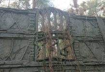 Czym jest kompozycja w fotografii? Rodzaje kompozycji w fotografii