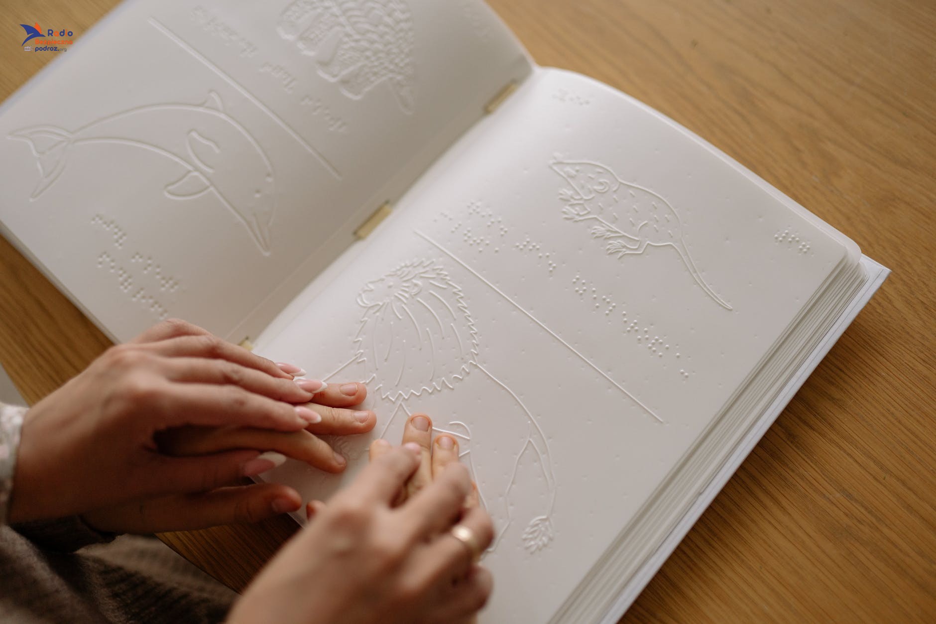Historia alfabetu Braille'a 