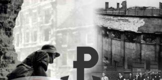 Program obchodów 78 rocznicy Powstania Warszawskiego 1944 - 1 sierpnia. Narodowy Dzień Pamięci Powstania Warszawskiego Aleksander Zieliński