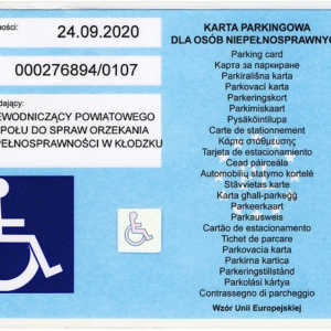 Kierowcy z niepełnosprawnością – obecne przepisy