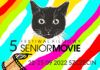 V Festiwal Filmowy Senior Movie. Wielobarwny plakat imprezy zawierający jedynie nazwę datę oraz sponsorów imprezy. Tło z ukośnych pasów układających się w ludowy pasiak. Na tym tle szkic głowy czarnego kota. Również ukośnie, ale tym razem z lewej na prawą przewija się taśma filmowa.