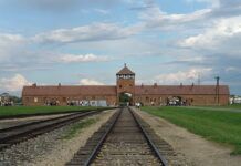 Selekcje w Auschwitz Birkenau