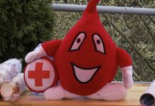 Niepełnosprawność – czy można oddać krew?