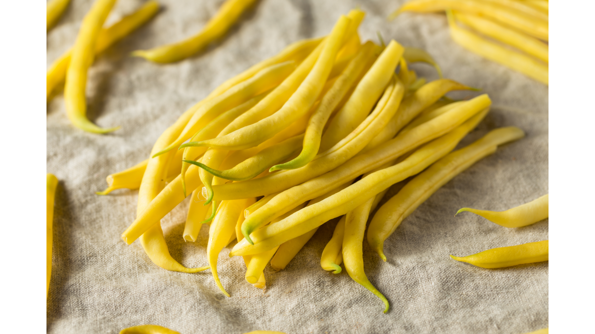 Kulinarna Nawigacja – lato