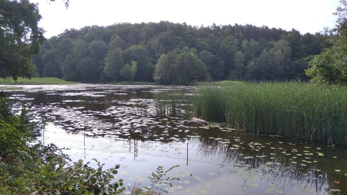 Wczasy pod gruszą, czy zaszły jakieś zmiany w 2024