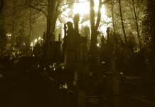 Cmentarz Powązkowski w sepii - Halloween Car