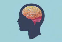 Wylew czy udar. Na błękitnym tle znajduje się ciemnoszary profil człowieka a na nim kolorowe wyobrażenie mózgu.