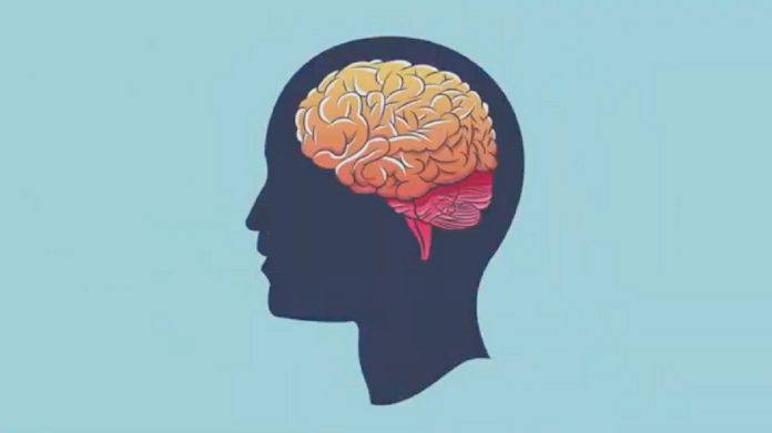Wylew czy udar. Na błękitnym tle znajduje się ciemnoszary profil człowieka a na nim kolorowe wyobrażenie mózgu.