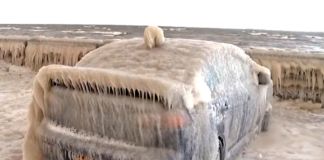 Zamarznięte szyby w samochodzie - samochód zaparkowany blisko brzegu oceanu jest całkowicie pokryty kilkunastocentymetrową warstwą lodu z rozbryzgów fal