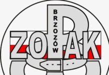 Zespół Ochrony Pamięci Armii Krajowej "Brzozów" logo Stowarzyszenia
