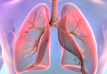 Jak rozpoznać raka płuc? Komputerowa grafika przedstawiająca zdrowe płuca