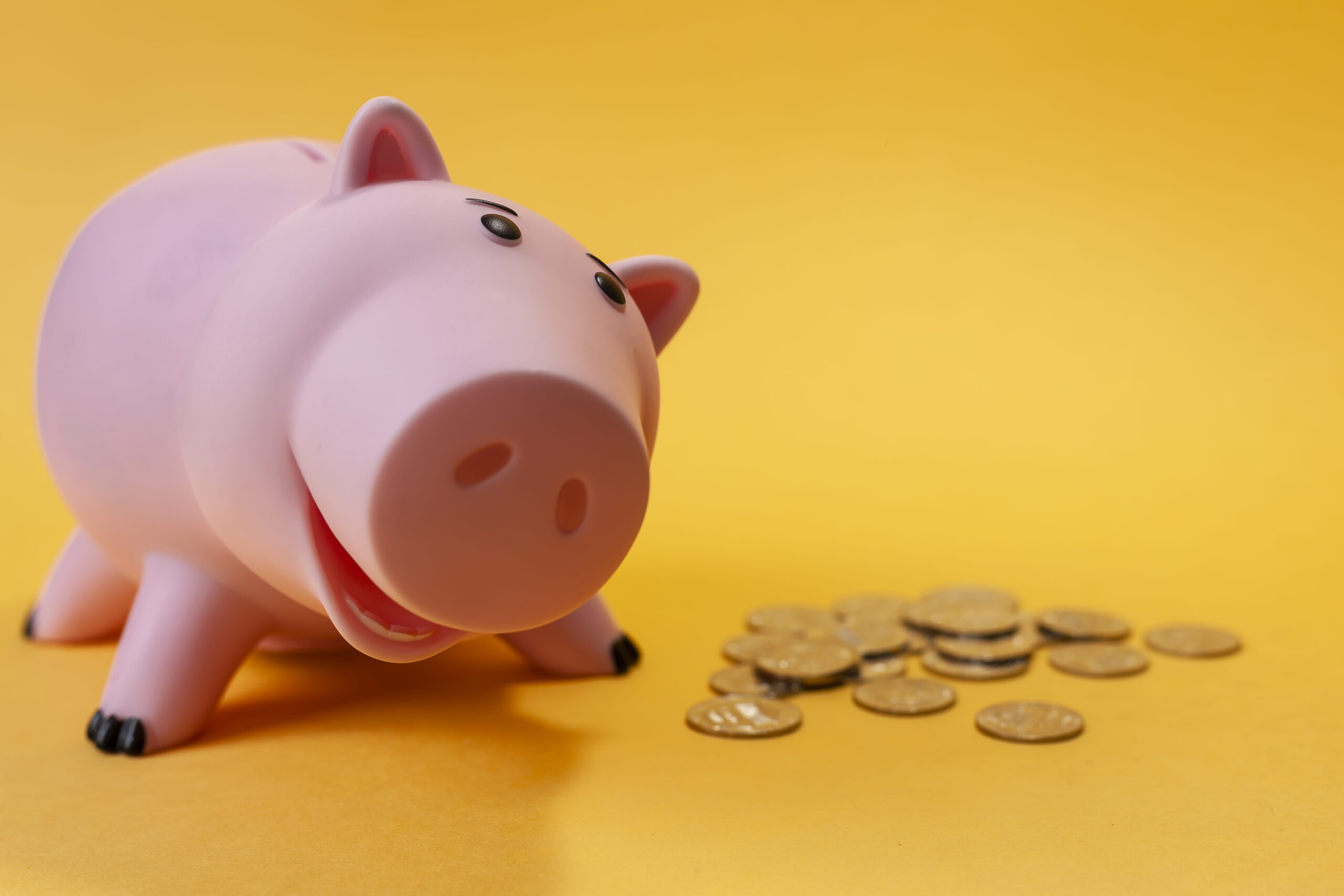 Zdecydowana większość Polaków popiera wprowadzenie lekcji ekonomii i finansów do szkół