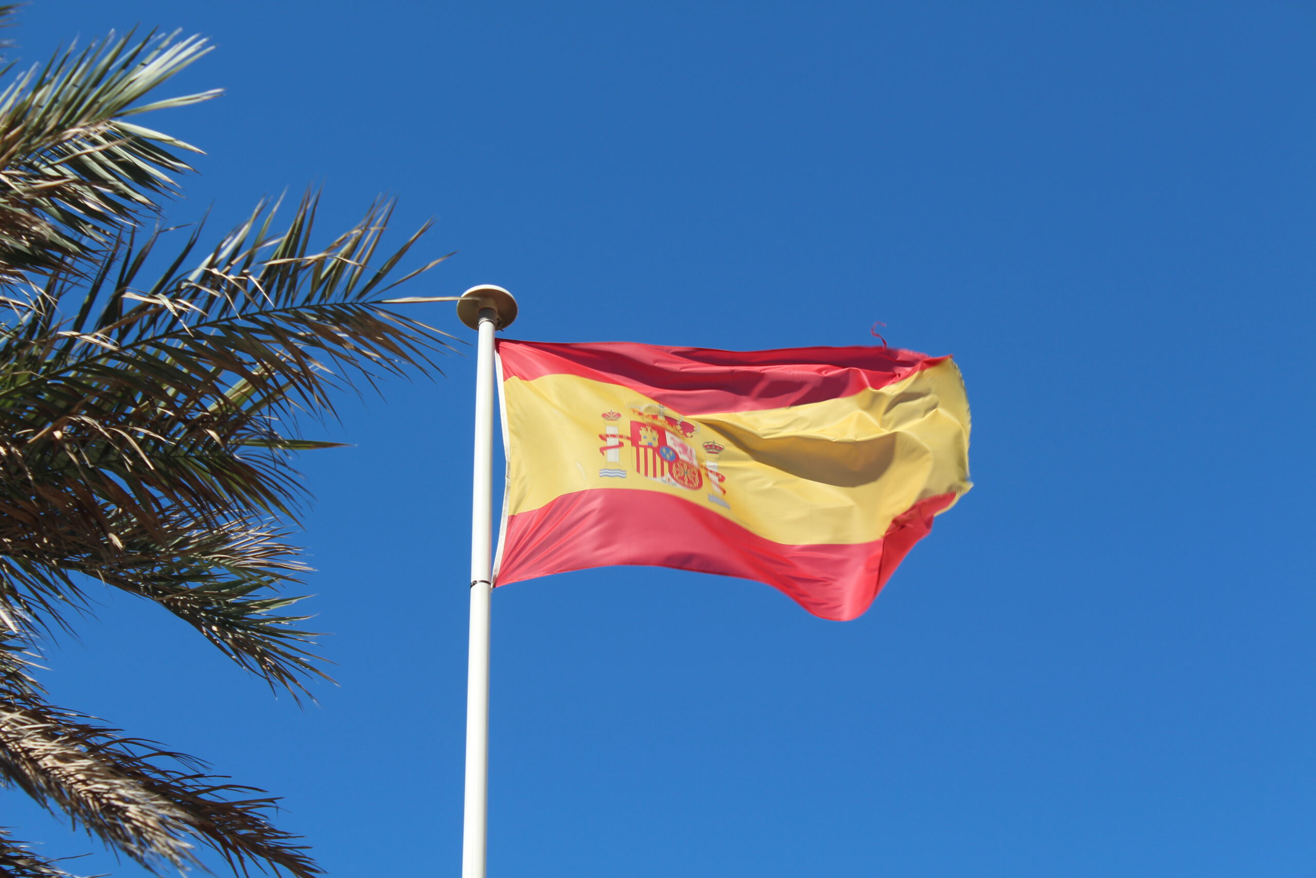 Mar Galcerán, pierwsza w Europie posłanka z zespołem Downa