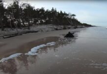 Plaże bałtyckie zniszczone sztormami