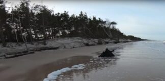 Plaże bałtyckie zniszczone sztormami