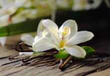 Tajemnice Wanilii - na drewnianym stole leżą ciemnobrązowe laski wanilii, a na nich biało-kremowy rozwinięty kwiat orchidei waniliowej.
