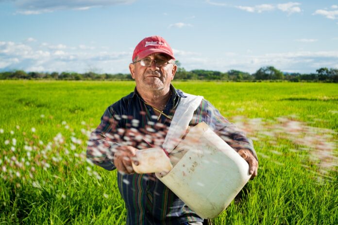 ogólnopolski protest rolników, rolnik pracuje na polu
