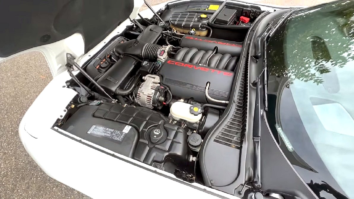 Chevrolet Corvette C5 - otwarta maska a pod nią silnik LS1 o pojemności 5,7 litra.