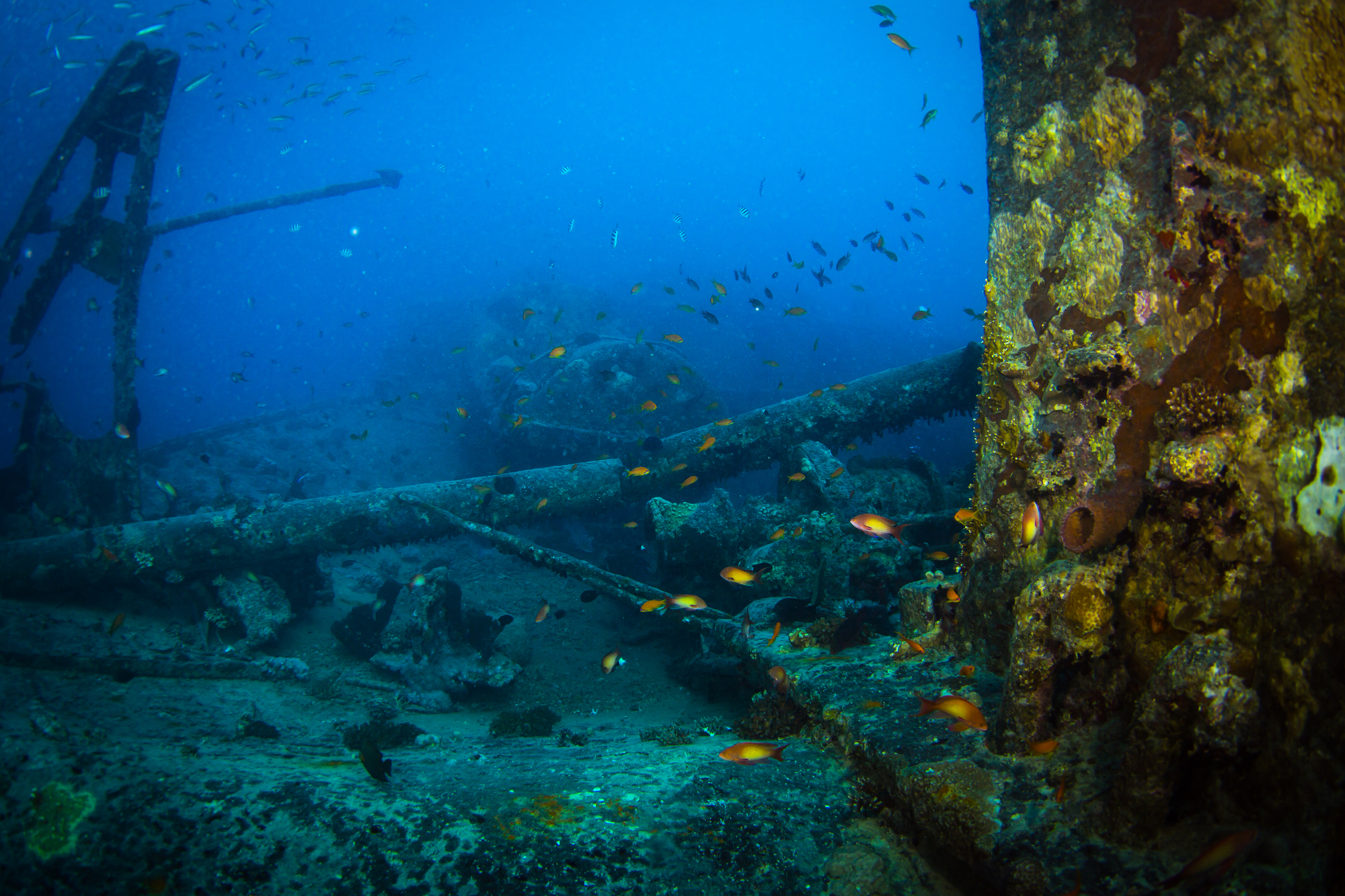 Broń chemiczna na dnie Bałtyku – zatopiony koszmar II Wojny Światowej