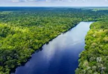 Pożary w Amazonii - zielone płuca świata w ogniu