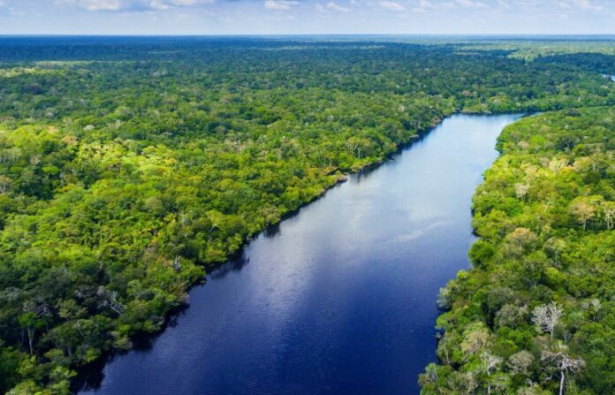Pożary w Amazonii - zielone płuca świata w ogniu