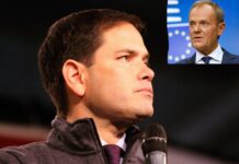 Senator Marco Rubio vs Premier Donald Tusk