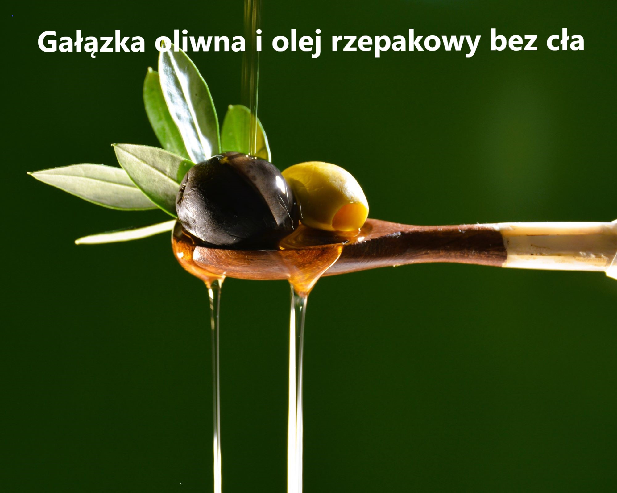 kochajcie nas bezwarunkowo czyli Zełenski z gałązką oliwną