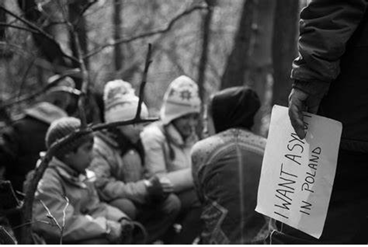 Orły 2024 – “Zielona granica” z polskim Oscarem