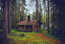 najszczęśliwsze kraje świata, fińska chatka w lesie