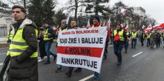 pomoc dla polskich rolników - szpaler protestujących idzie całą szerokością jezdni w Warszawie, niosąc polskie flagi i transparenty z hasłami.