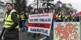 strajk generalny rolników - protestujący w Warszawie rolnicy, idą całą szerokością jezdni, niosąc polskie flagi i transparenty z hasłami.