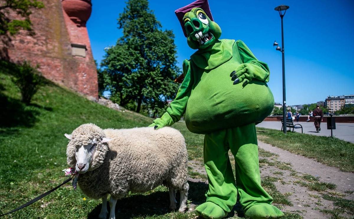 Bitwa o Kraków:  Łukasz Gibała czy Aleksander Miszalski?