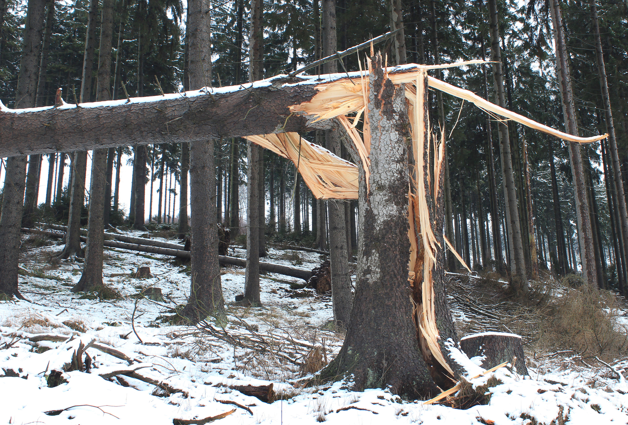 Wichura w Tatrach: Tragiczne wypadki i apel do turystów