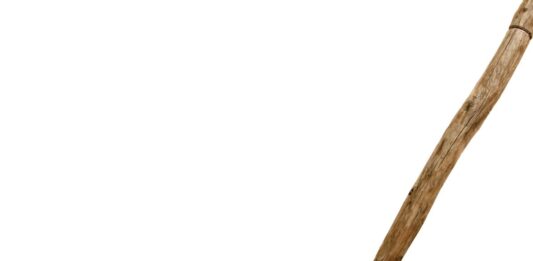 Rodzina na Swoim miotła w Orlenie