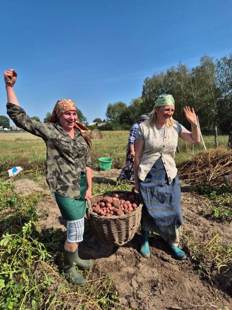 Wykopki we wsi Turna czyli prawdziwy smak kartofla – Kulinarna Nawigacja z Jarosławem Uścińskim