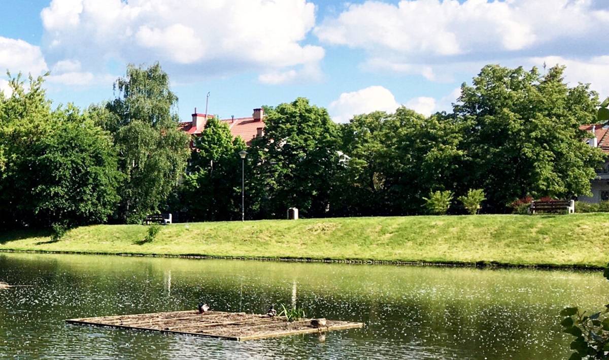 Warszawa w elicie najbardziej zadrzewionych stolic Europy!