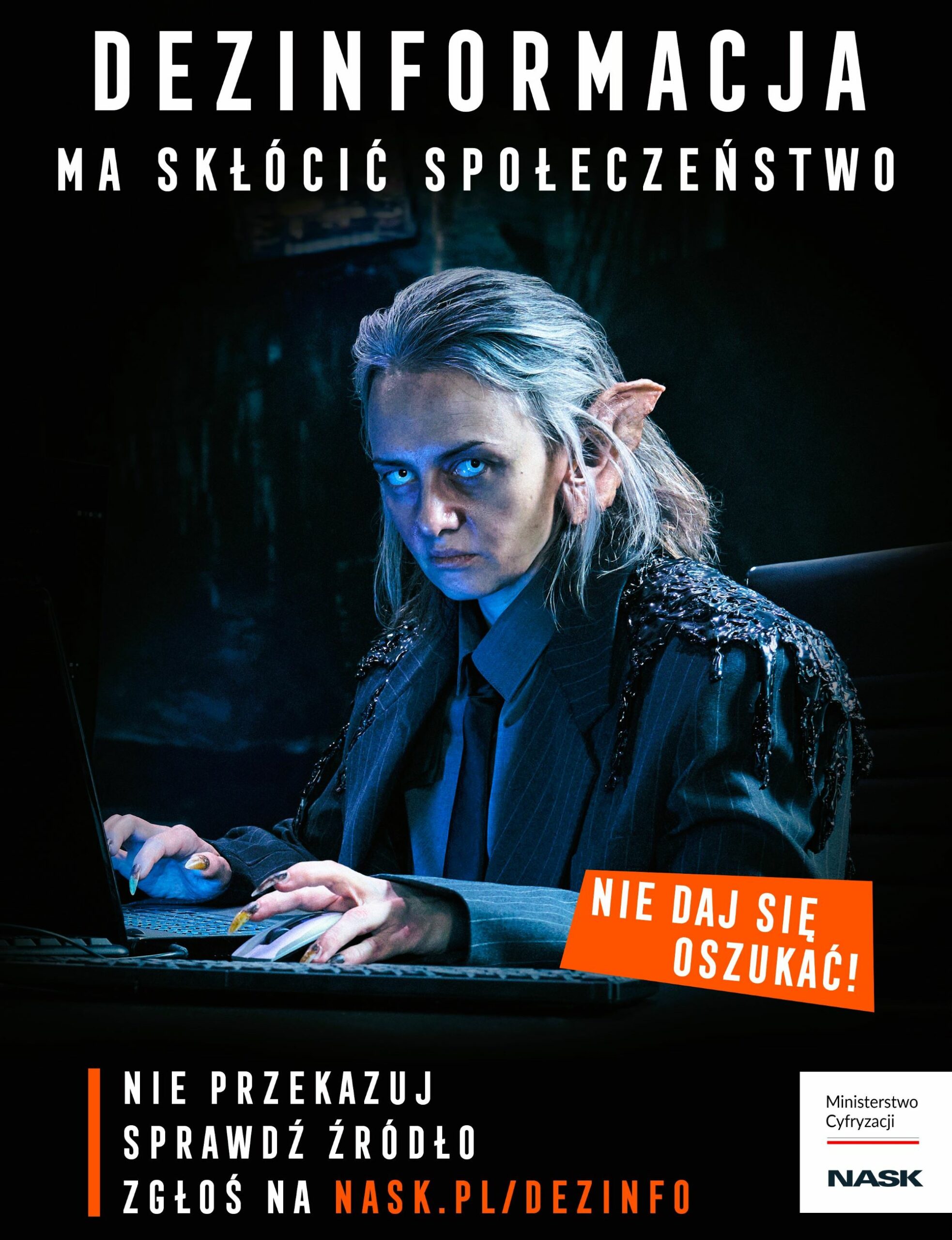 2 Dezinformacja Scaled