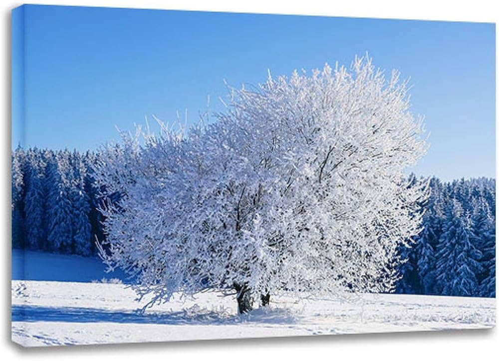 Polski biegun zimna: Rekordowe -41,1°C w Tatrach! Co sprawia, że Litworowy Kocioł jest tak lodowaty?