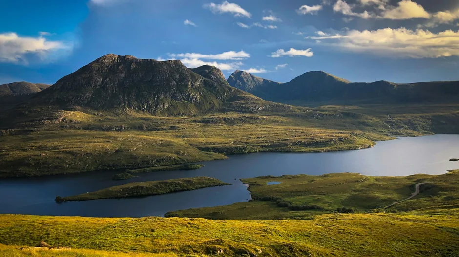 Wilki potrzebne w szkockich lasach