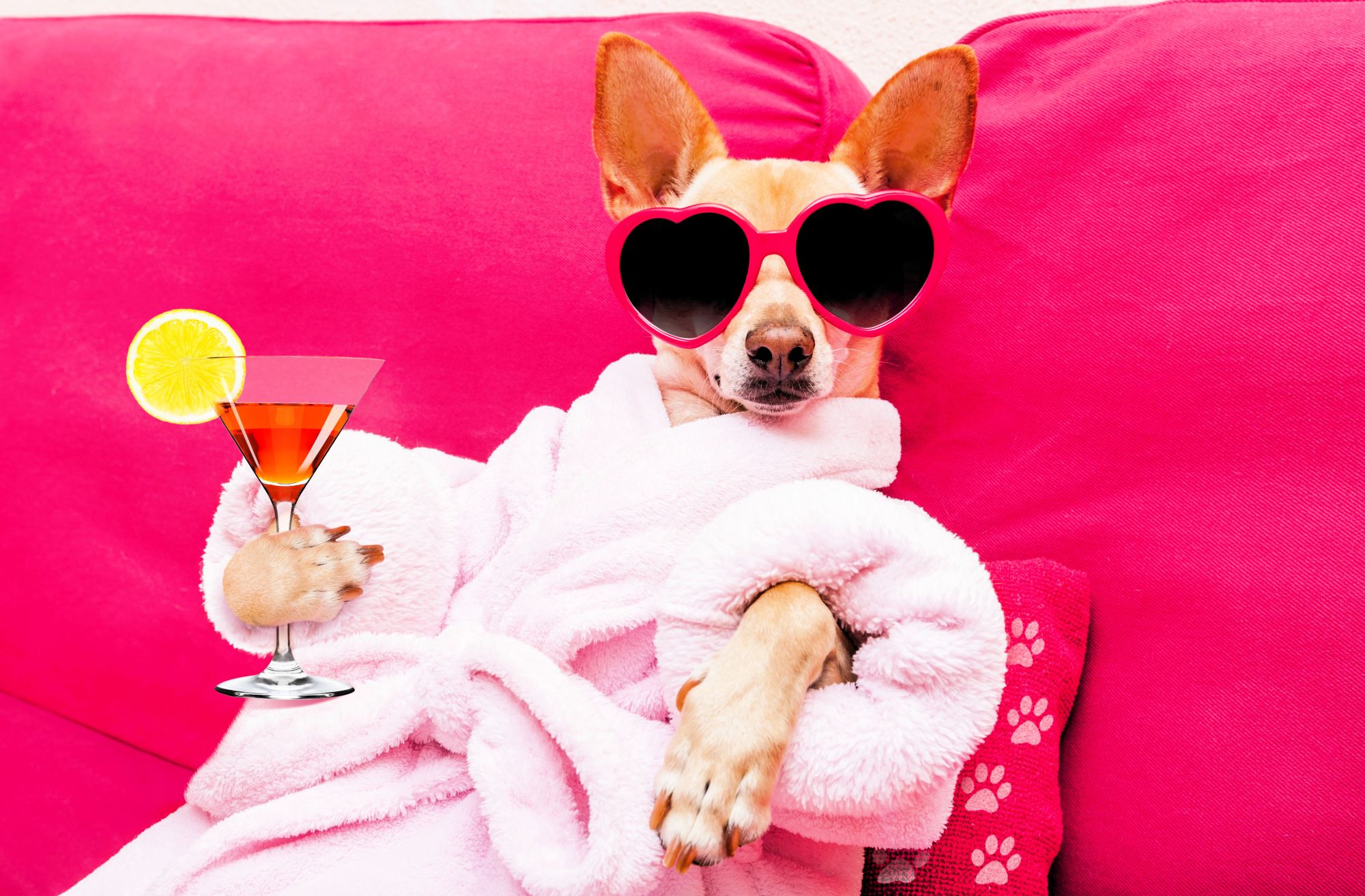 Piją, głosują i rządzą. Polityka schodzi na PSY!!! Nietrzeźwi posłowie na sali sejmowej to nie mit – to systemowy problem