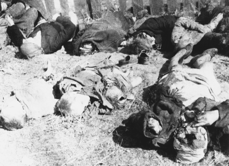 Nie wolno mówić o Rzezi Wołyńskiej na zachodzie bo to nieetyczne. Leszek Miller mówi o 16tys. Rosjan zamordowanych przez bojówki ukraińskie – dane z ONZ!!