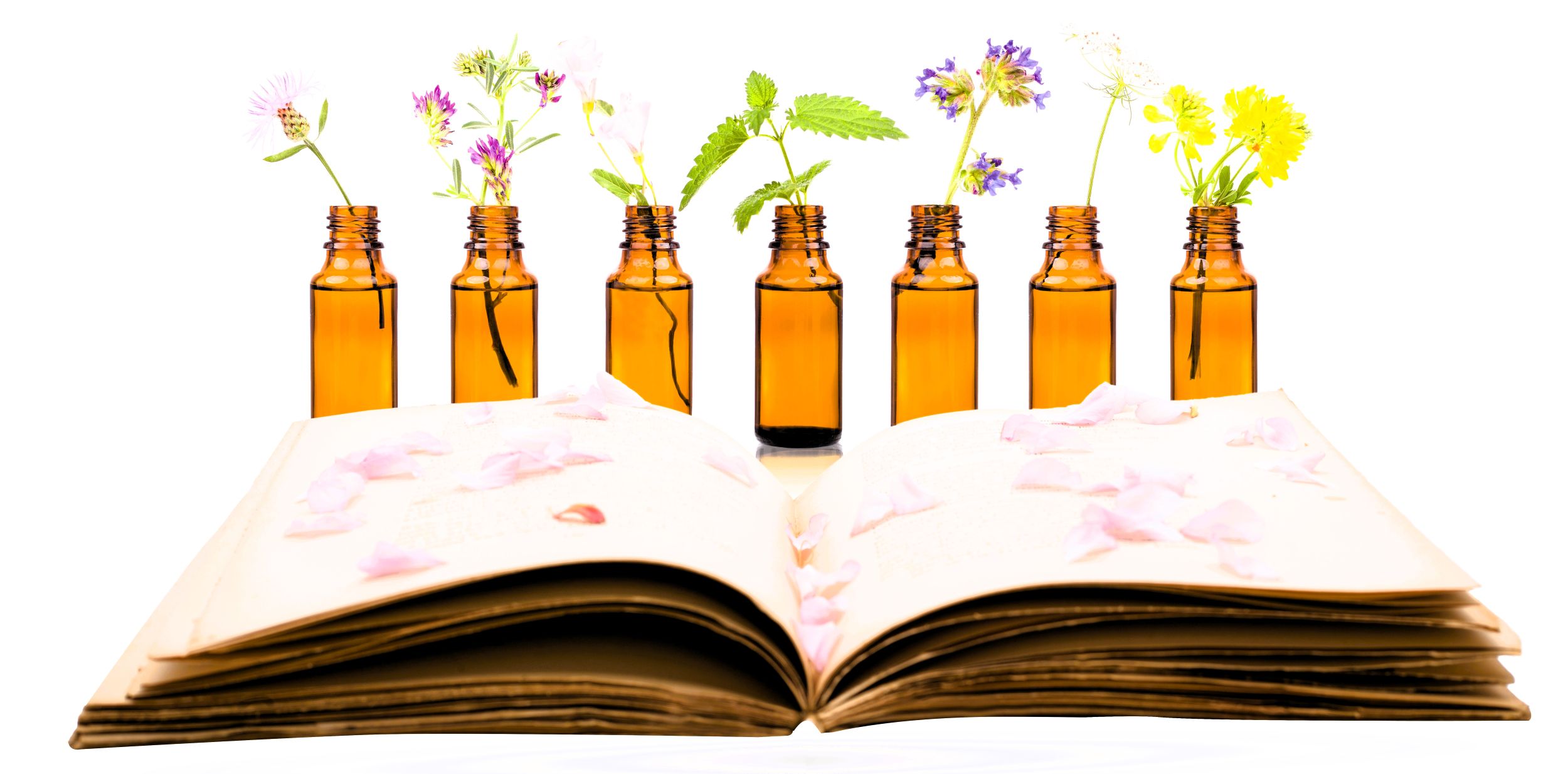 Żyć zdrowo, ale jak? Sławomir Grochowina i sztuka powrotu do zdrowia ✨