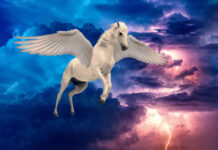 Człowiek w Obliczu Zmiany - Adam Kin Odkrywa Sekrety Wewnętrznej Równowagi!