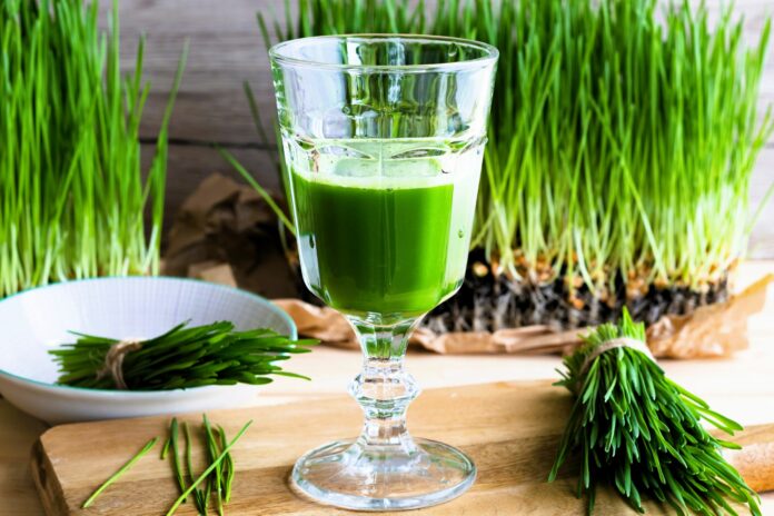 Droga Do Zdrowia z Danutą Dąbek, sok z jęczmienia wszystko zmienia Droga Do Zdrowia z Danutą Dąbek, sok z jęczmienia wszystko zmienia