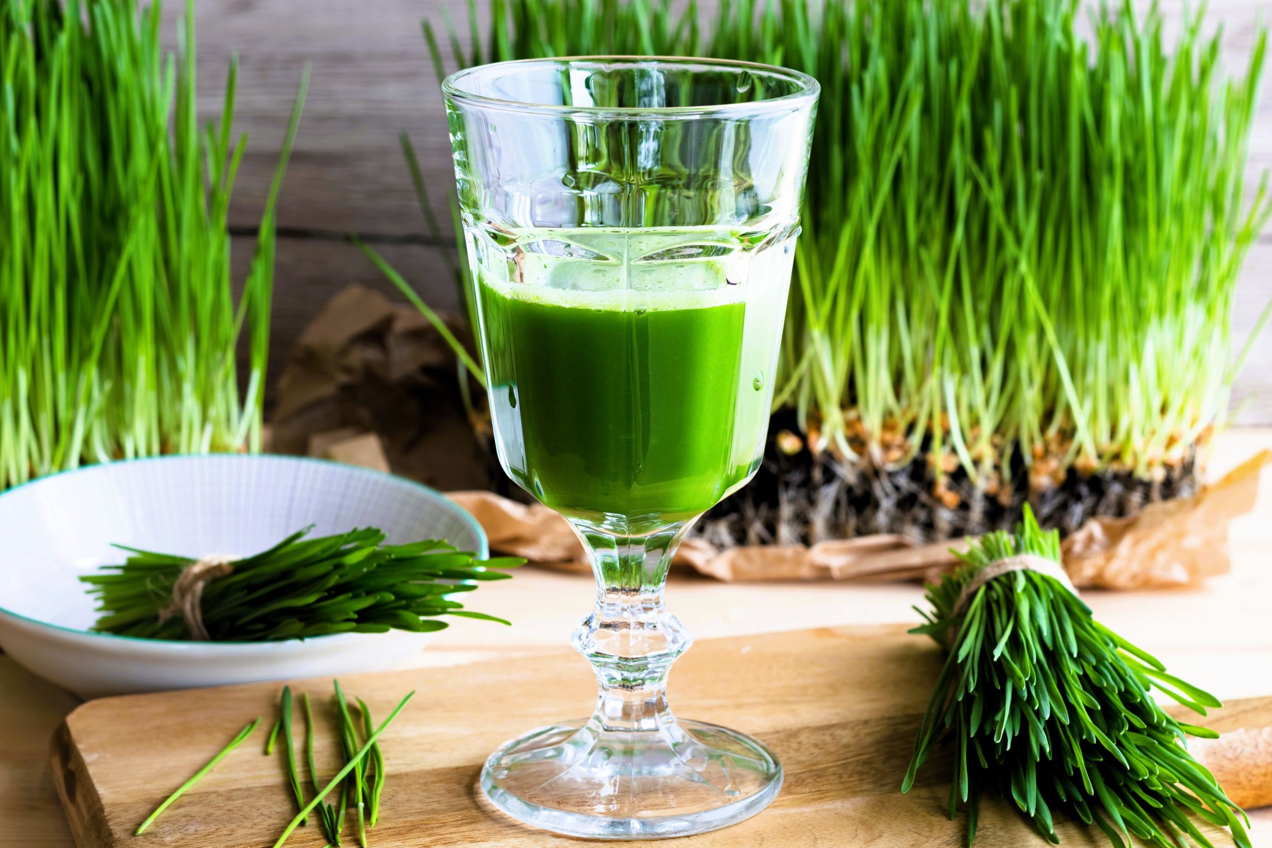 Droga Do Zdrowia z Danutą Dąbek: Odkryj Moc Jedzenia i Suplementacji dla Twojego Ciała! – odżywianie holistyczne audycja jęczmień bio