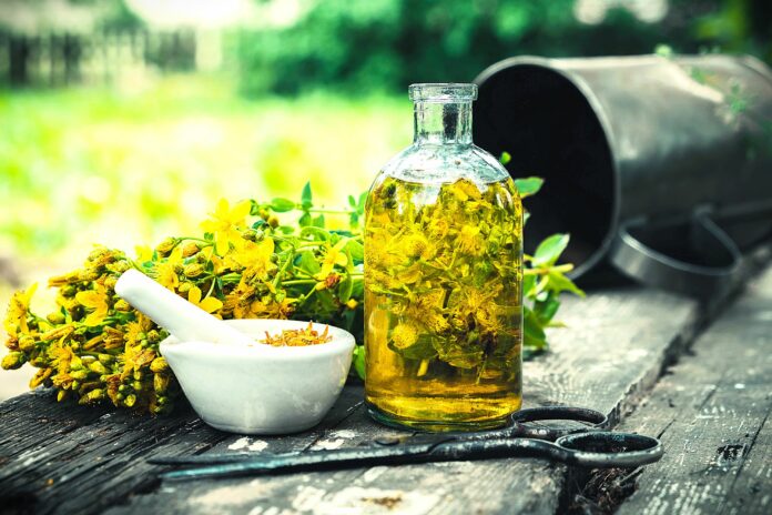 Dziurawiec czyli St. John's Wort flower Od Natury Do Zdrowia Dziurawiec czyli St. John's Wort flower Od Natury Do Zdrowia